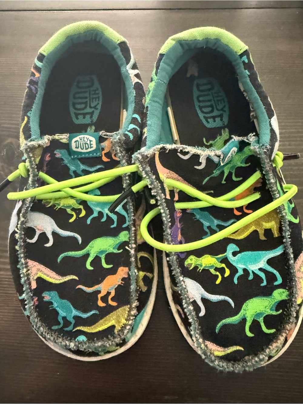 Hey Dude Dinosaur Toddler Shoes Size 10C